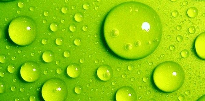 What is green sand green sand for gardens What is green sand green sand for gardens