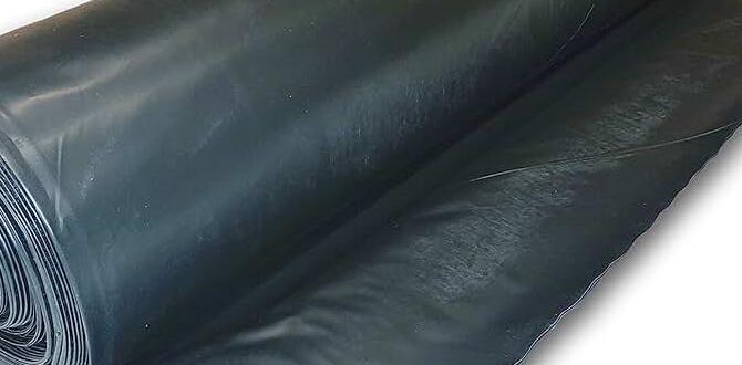 What is heavy duty black plastic sheeting heavy duty black plastic sheeting for gardens What is heavy duty black plastic sheeting heavy duty black plastic sheeting for gardens