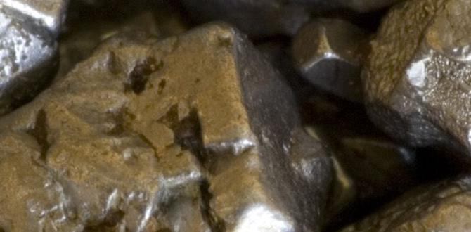 What is metal screening metal screening for gardens