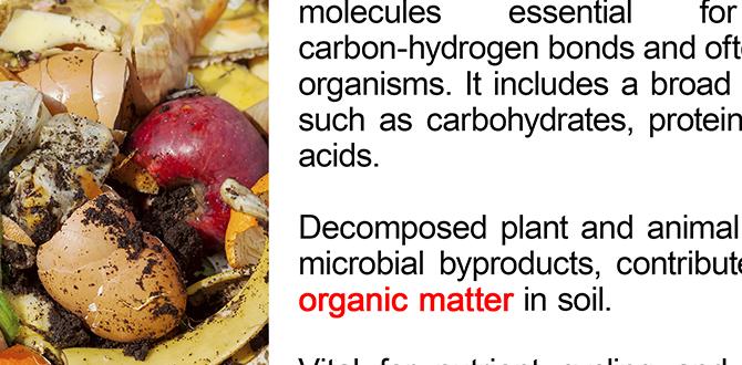 What is organic matter organic matter for gardens What is organic matter organic matter for gardens