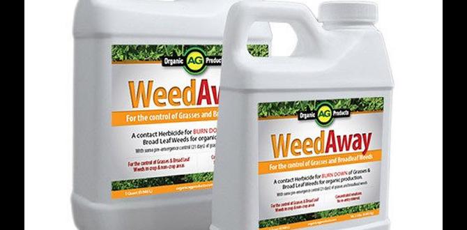 What is organic weed killer organic weed killer for gardens What is organic weed killer organic weed killer for gardens