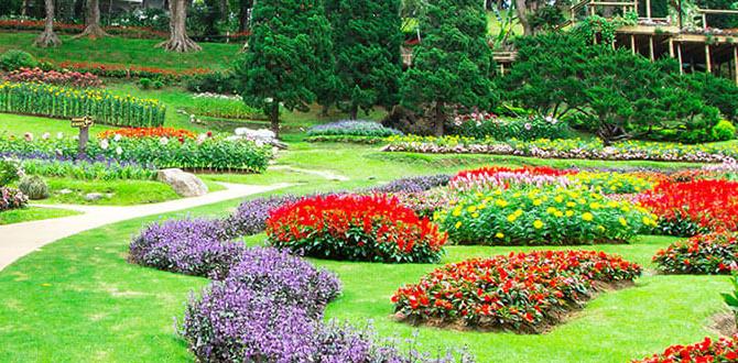 What is ornamental fencing ornamental fencing for gardens What is ornamental fencing ornamental fencing for gardens