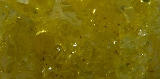 What is sulfur and why is it essential for plants sulfur for gardening