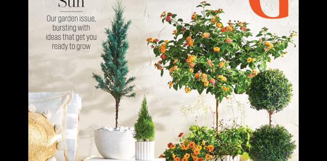 What to expect during your call phone number for better homes and gardens What to expect during your call phone number for better homes and gardens