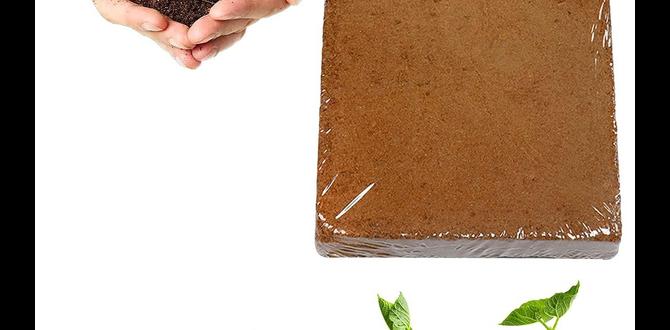 Where to purchase quality coconut coir products coconut coir for gardening Where to purchase quality coconut coir products coconut coir for gardening