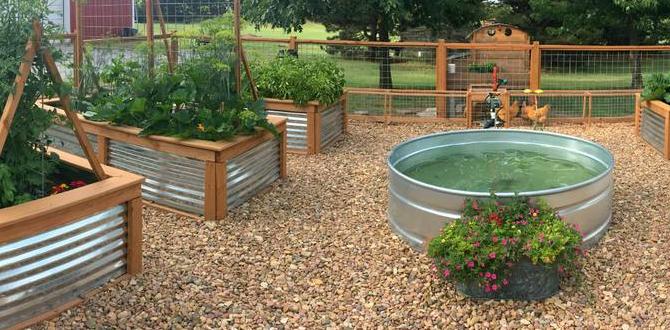 Where to purchase stock tanks stock tanks for gardening