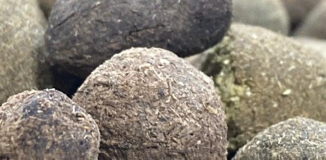 Where to source quality goat manure goat manure for gardens