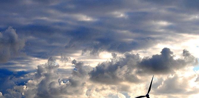 Wind and its impact on gardens weather for gardeners