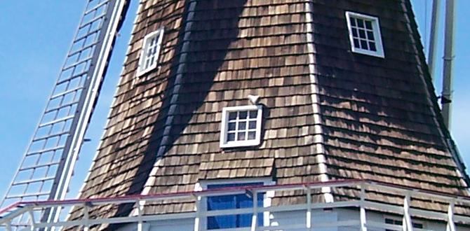 Windmill regulations and zoning laws windmills for gardens Windmill regulations and zoning laws windmills for gardens