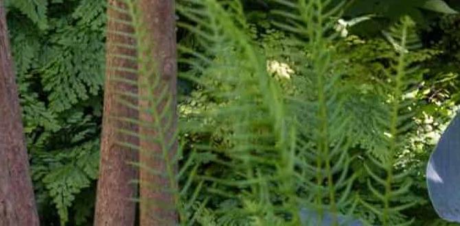 Zones and microclimates what zone am i in for gardening Zones and microclimates what zone am i in for gardening