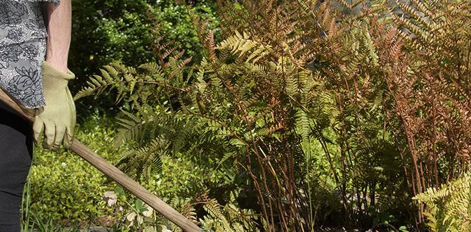 Zonespecific considerations for planting what zone for gardening am i in