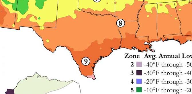 Zonespecific plant recommendations zones for gardening Zonespecific plant recommendations zones for gardening