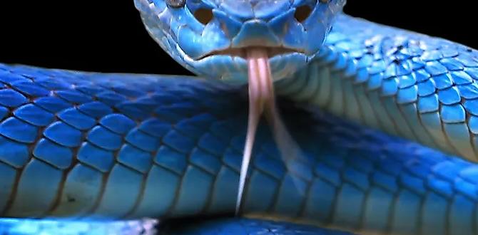are snakes good for gardens