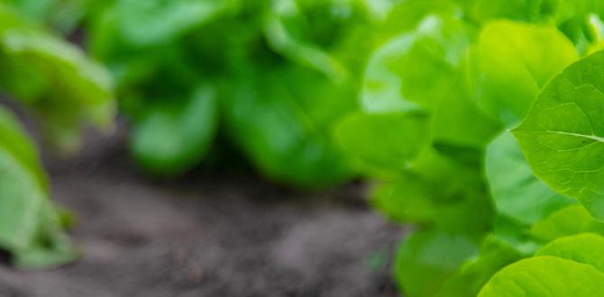 best gardening advice best gardening advice