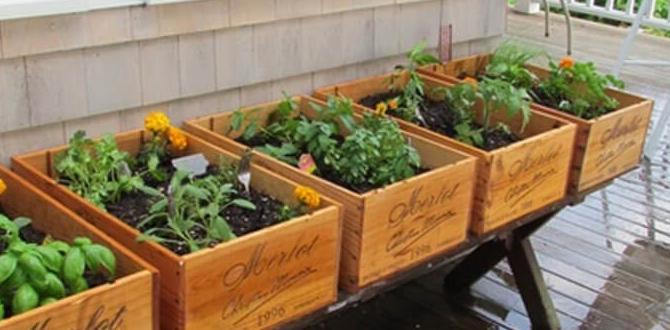 best ideas for herb gardens