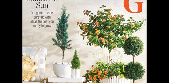 better homes and gardens telephone number for customer service better homes and gardens telephone number for customer service