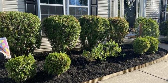 decorative metal edging for gardens decorative metal edging for gardens