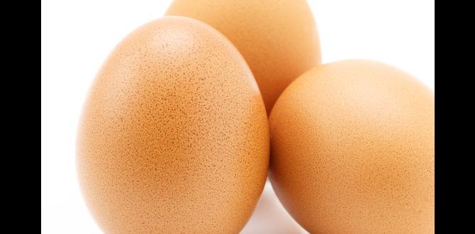 egg shells for gardens