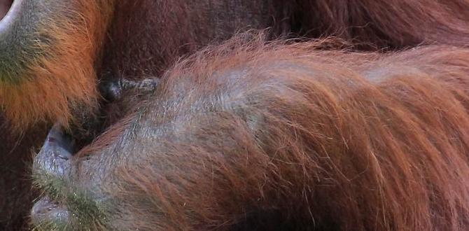 funny names for gardens