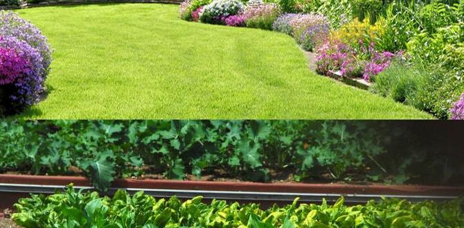 good gardening tips for beginners
