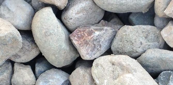 gravel for gardens