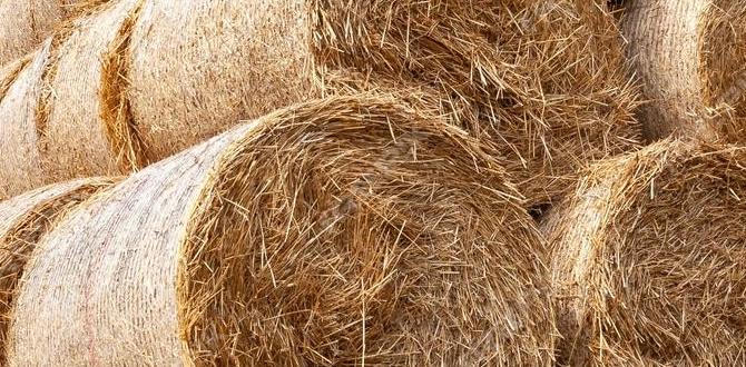 hay or straw for gardening