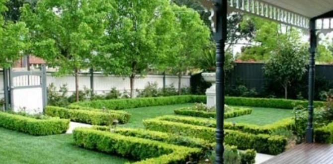 hedging ideas for front gardens hedging ideas for front gardens