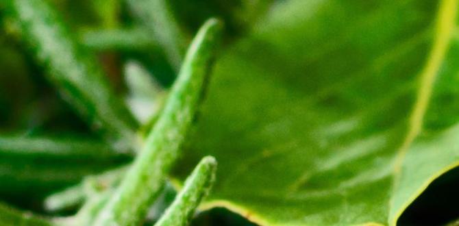 herbs gardening for beginners herbs gardening for beginners