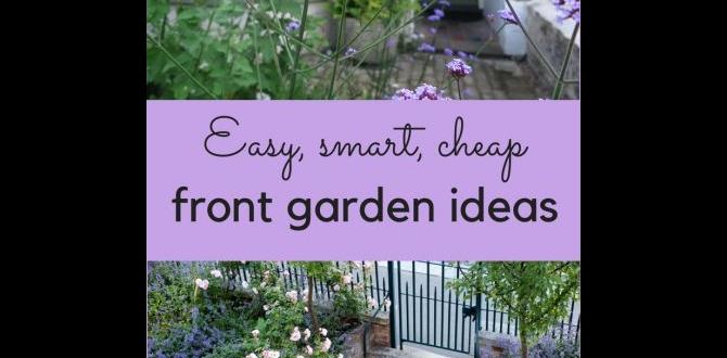ideas for small front gardens on a budget
