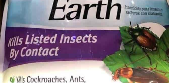 is diatomaceous earth safe for vegetable gardens is diatomaceous earth safe for vegetable gardens
