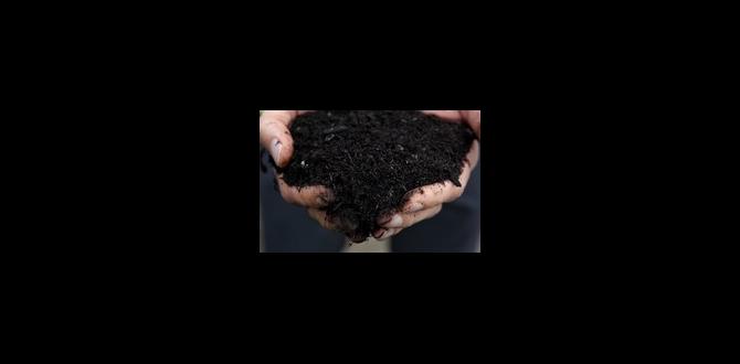 manure for gardens