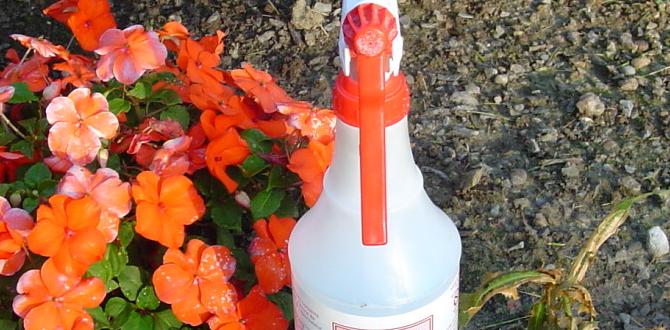 organic weed killer for gardens organic weed killer for gardens