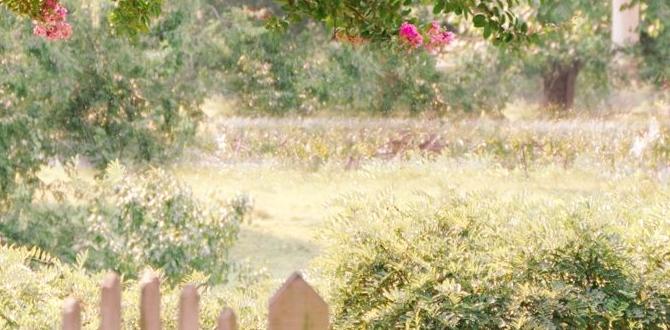 picket fence ideas for gardens