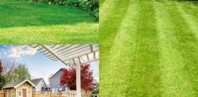 rates for gardening services rates for gardening services