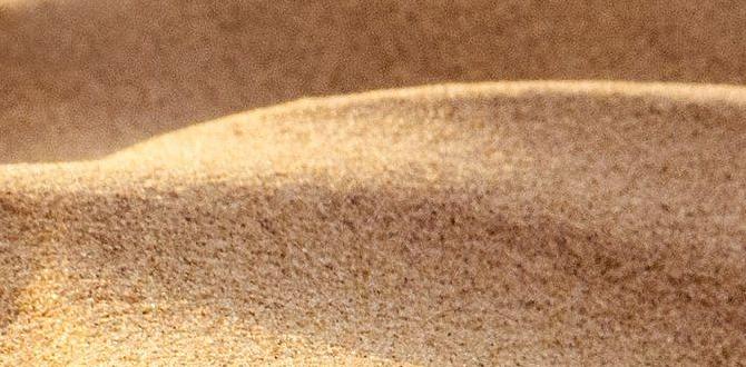 sand for gardening soil sand for gardening soil