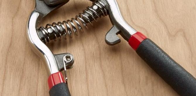 shears for gardening shears for gardening