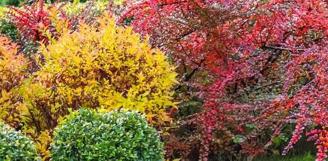 shrubs for japanese gardens shrubs for japanese gardens