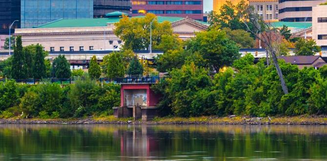 springfield gardens apartments for rent