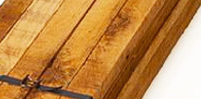 stakes for gardening stakes for gardening