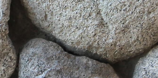 stone art for gardens stone art for gardens