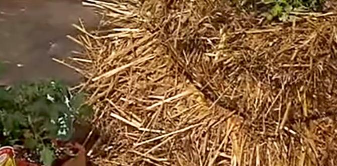 straw bale for gardening
