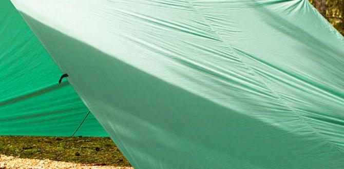 tarp for gardening tarp for gardening