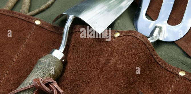 tool belt for gardening tool belt for gardening