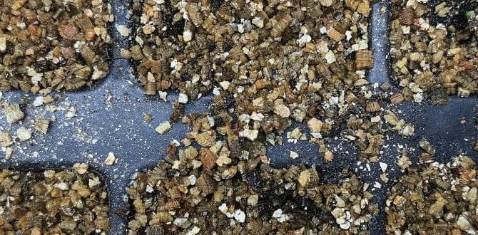vermiculite for gardening vermiculite for gardening