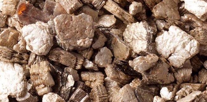 vermiculite for gardens vermiculite for gardens