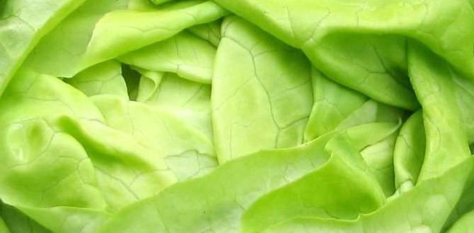 what zone is maryland for gardening