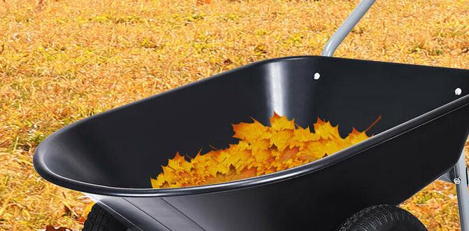 wheelbarrow for gardening