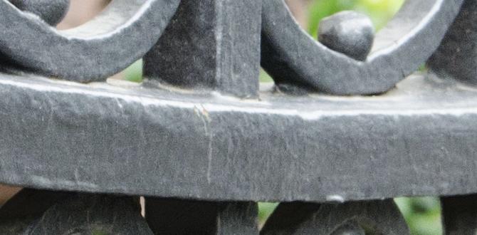 wrought iron arches for gardens wrought iron arches for gardens