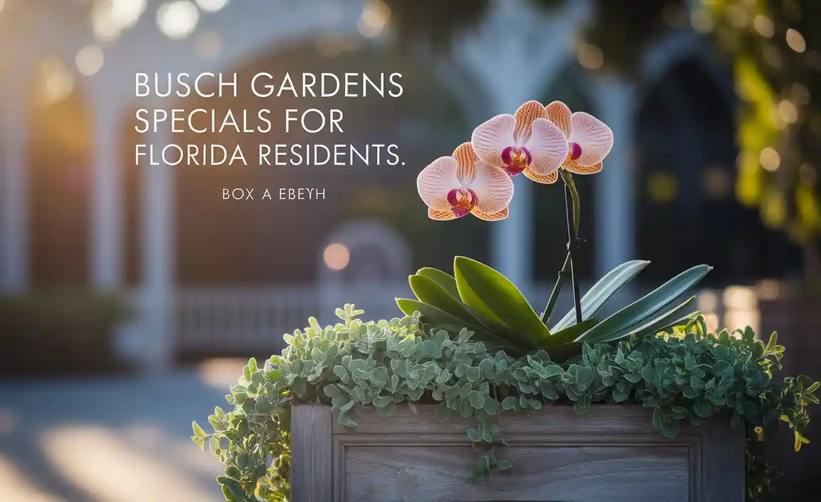 Busch Gardens Specials for Florida Residents