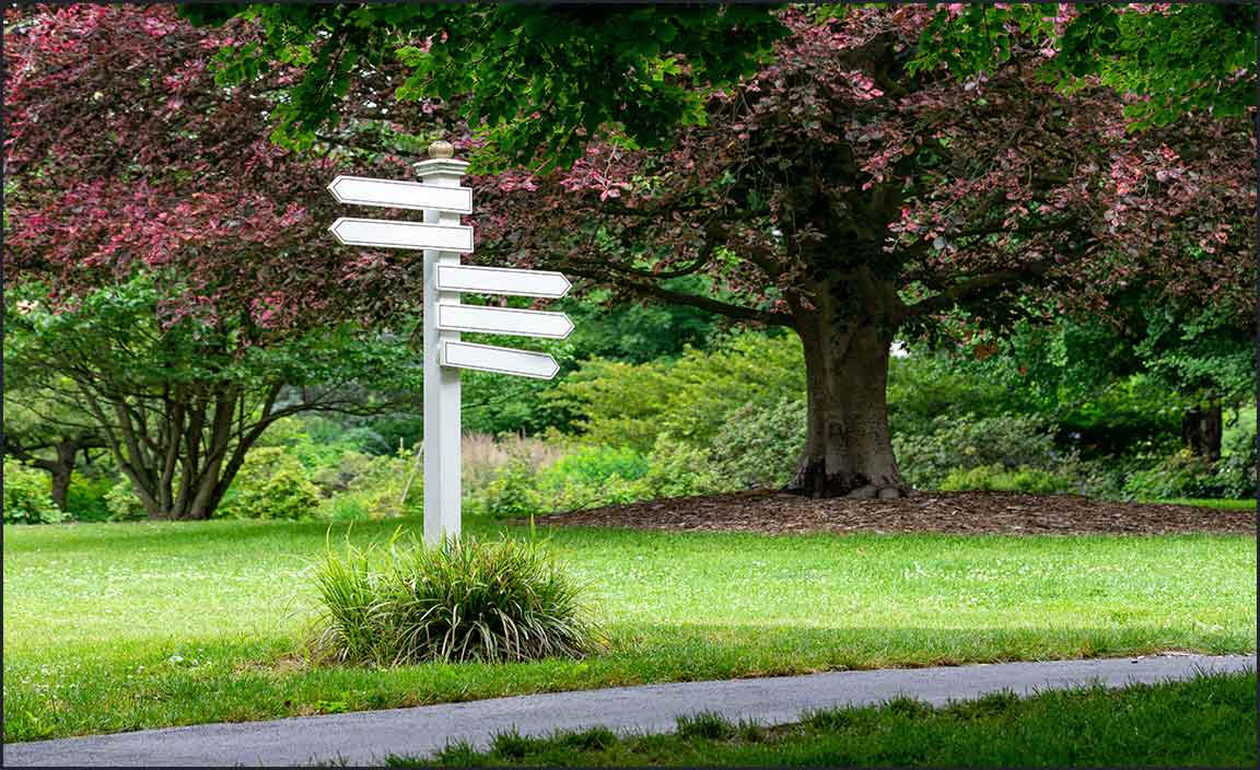 How to Find Your Zip Code in Springfield Gardens